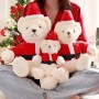 Urso de Pelúcia Personalizado
