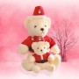 Urso de Pelúcia Personalizado Brinquedos de Pelúcia Personalizados