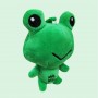 Chaveiro Personalizado de Sapo de Pelúcia Chaveiro de Sapo de Pelúcia Personalizado
