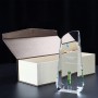Troféu de Cristal Personalizado Expositor Lembrança Criativa Presente Personalizado