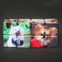 Cubo Mágico com a Foto do Seu Pet em Formato Diferente e Estranho