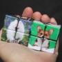 Cubo Mágico com a Foto do Seu Pet em Formato Diferente e Estranho