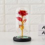 Rosa Eterna Colorida é o melhor presente de decoração para a família
