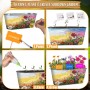 Melhores Kits Iniciais de Plantio para Flores Internas Mais Vendidas