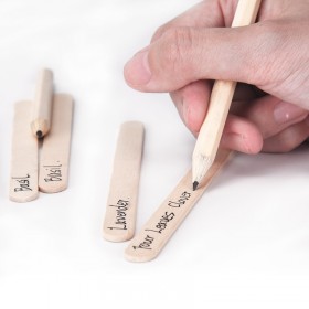 Horta Personalizada para Casa Kit de Vasos Personalizados