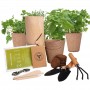 Horta Personalizada para Casa Kit de Vasos Personalizados