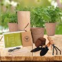 Horta Personalizada para Casa Kit de Vasos Personalizados