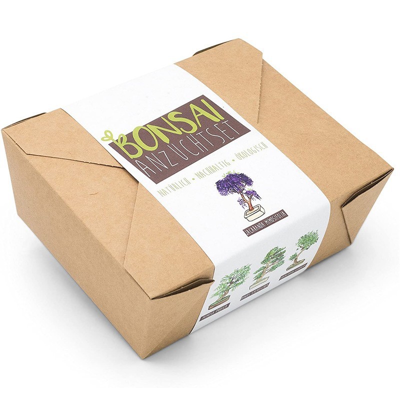Plantio de Bonsai Interno