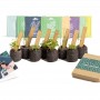 Kit Inicial de Ervas Faça Você Mesmo Kit Personalizado de Jardinagem de Ervas Faça Você Mesmo