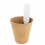 Kit Inicial de Ervas Personalizado Kit de Jardinagem de Ervas para Ambientes Internos Faça Você Mesmo