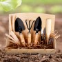 Kit de Flores de Jardim e Novas Plantas para Jardim Residencial