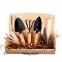Kit de Flores de Jardim e Novas Plantas para Jardim Residencial