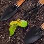 Kit de Flores de Jardim e Novas Plantas para Jardim Residencial