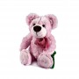 O Urso de Pelúcia Fofo é a melhor companhia para dormir à noite