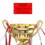 Troféu de Metal com Impressão para Fazer Logotipo Troféu Artesanal