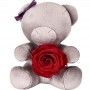 Urso de Pelúcia Personalizado com Rosa como Presente para Feriado
