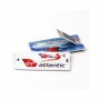 USB personalizado com marca e pen drive com logo O presente promocional