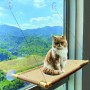 Principais itens promocionais de rede para gatos com patente de segurança da China