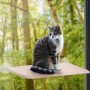 design personalizado de rede de janela para gatos de todos os tipos