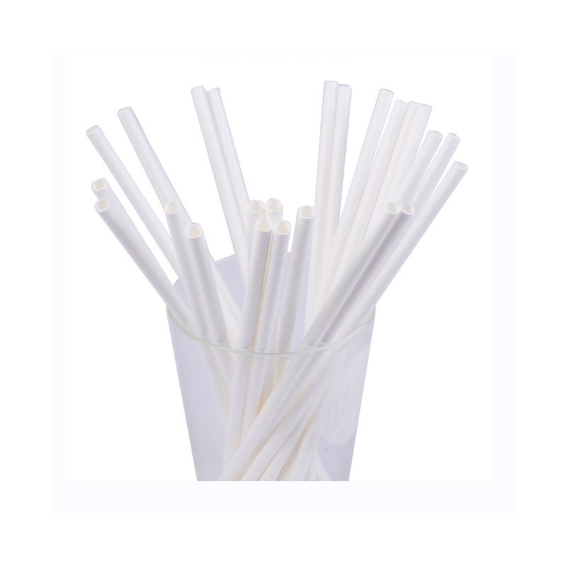 Canudos de Papel Ecológicos